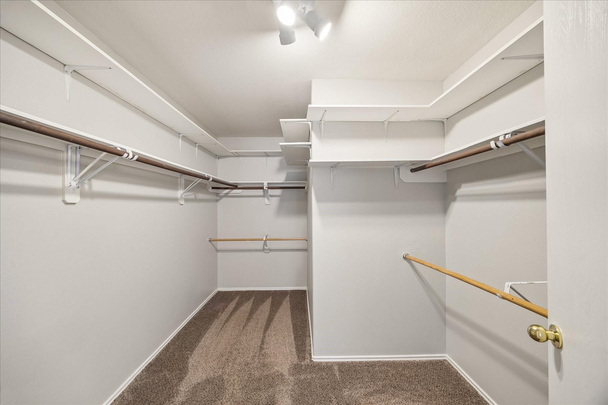 223 Sunset Colony Drive Rosharon, TX 77583 - Photo 23 of 50 Shop until you drop! This deep walk-in closet has space for hanging clothes, shelving for accessories and a spacious layout that makes staying organized feel a whole lot easier.