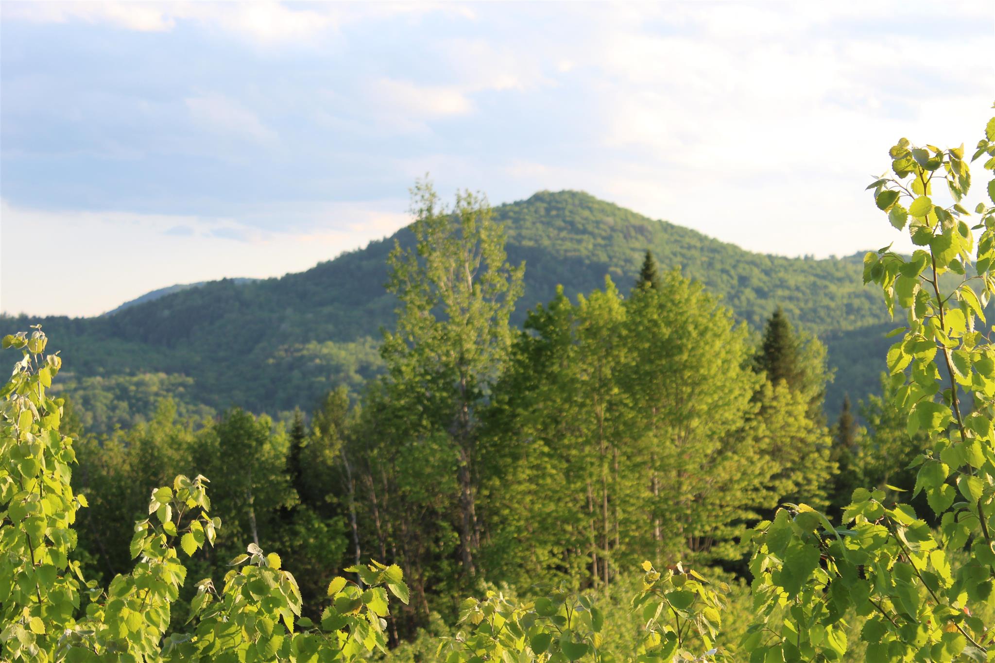 0 Town Line Road Stratford, NH 03590 - Photo 11 of 39