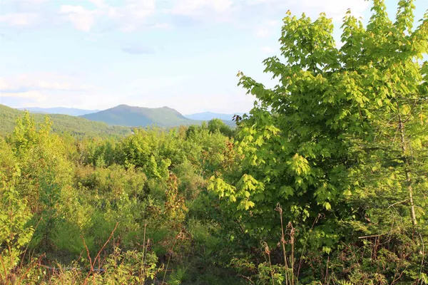 $325,000 | 0 Town Line Road, Stratford, NH 03590