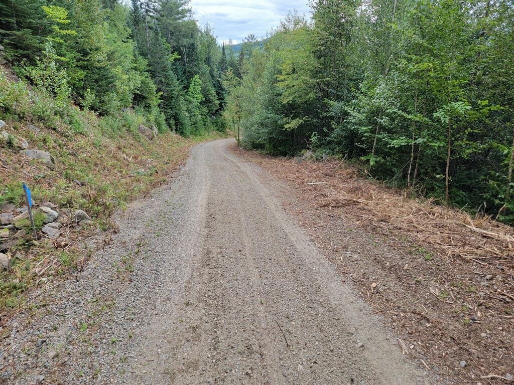 0 Town Line Road Stratford, NH 03590 - Photo 27 of 39