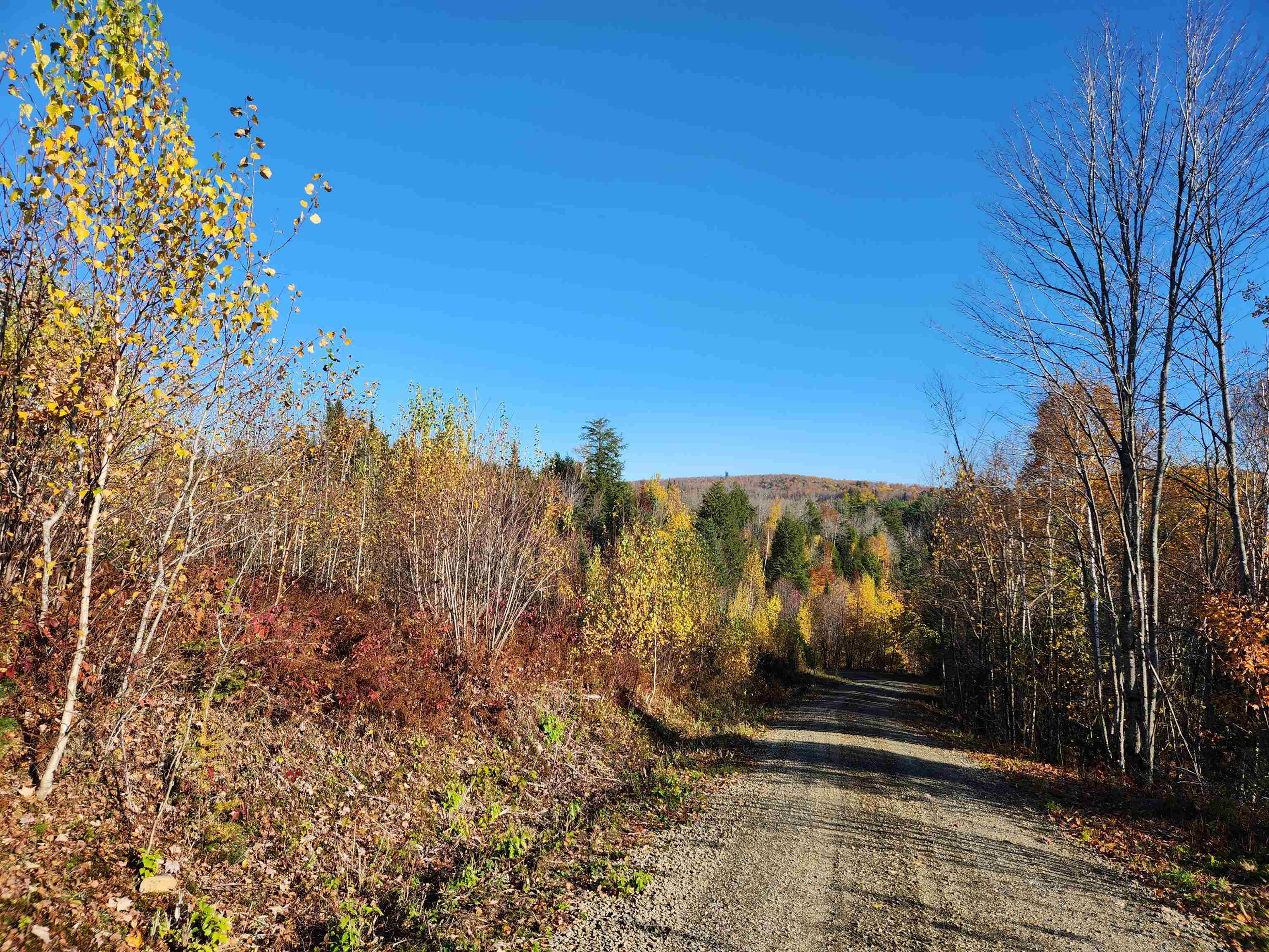 0 Town Line Road Stratford, NH 03590 - Photo 39 of 39