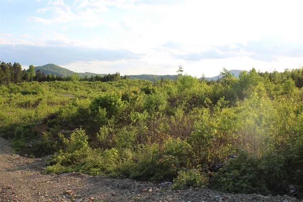 $325,000 | 0 Town Line Road, Stratford, NH 03590