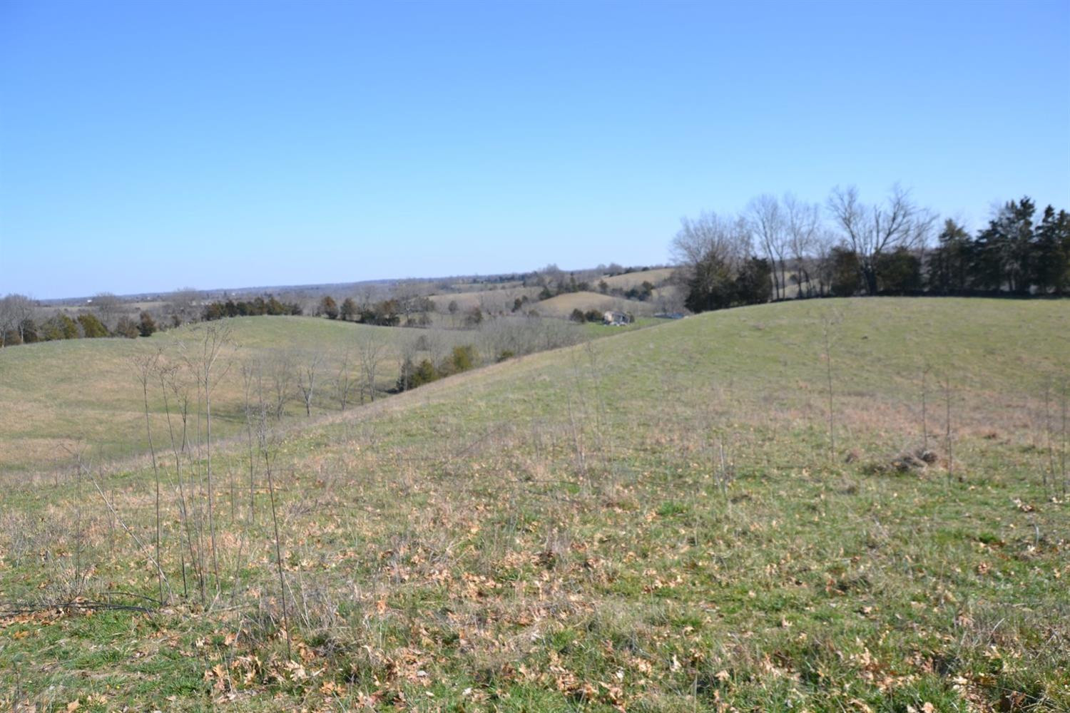 3251 Cocanougher Road Perryville, KY 40468 - Photo 12 of 16 Photo 12