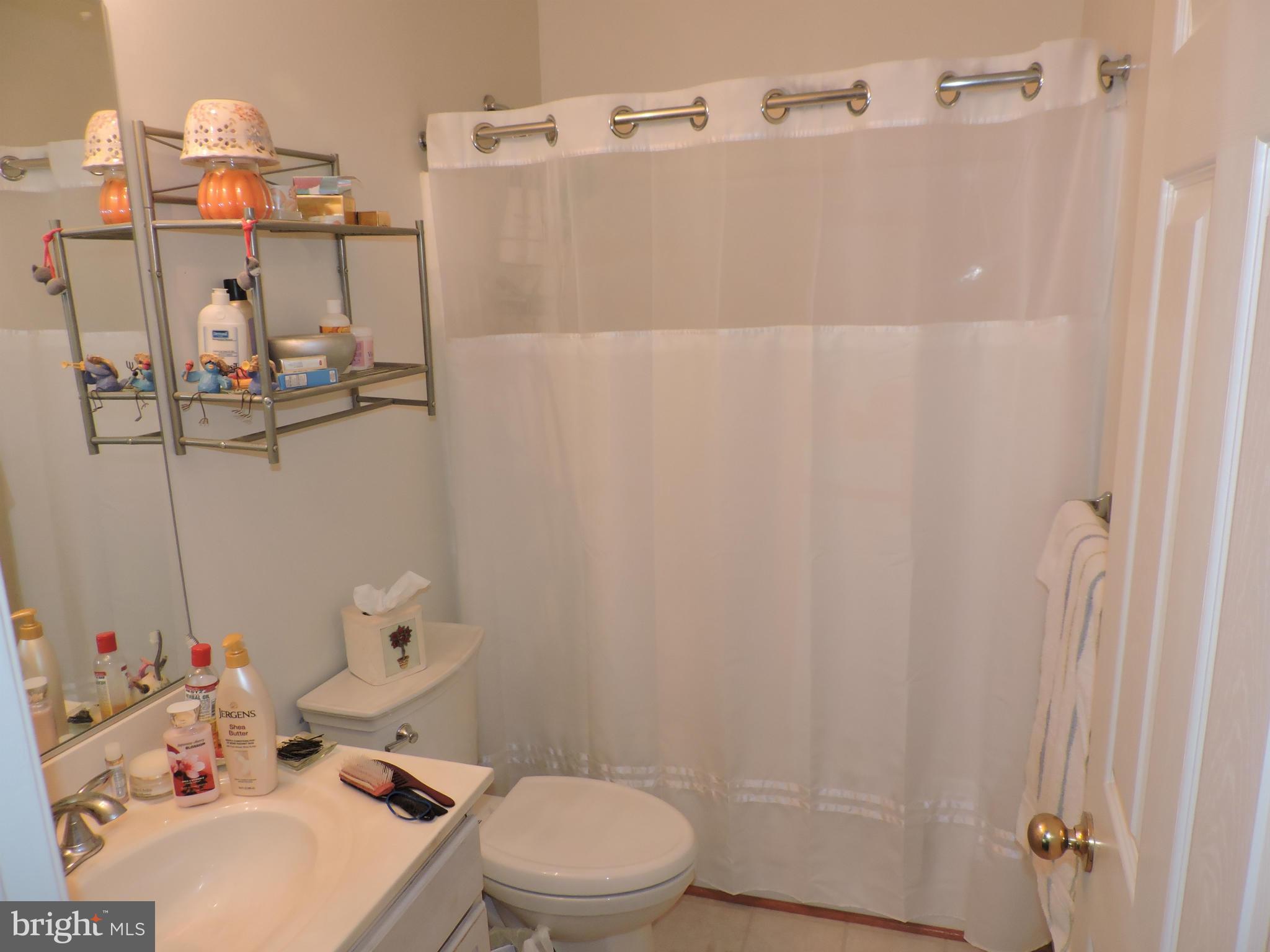 41 Morton Ridge Warrenton, VA 20186 - Photo 11 of 14 a bathroom with a sink a toilet and shower curtain
