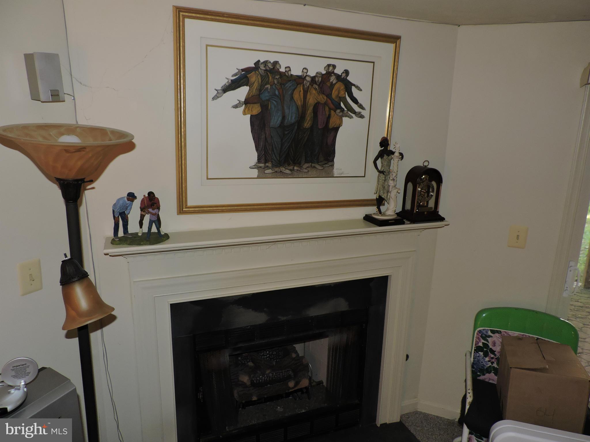 41 Morton Ridge Warrenton, VA 20186 - Photo 9 of 14 a living room with a fireplace and a potted plant