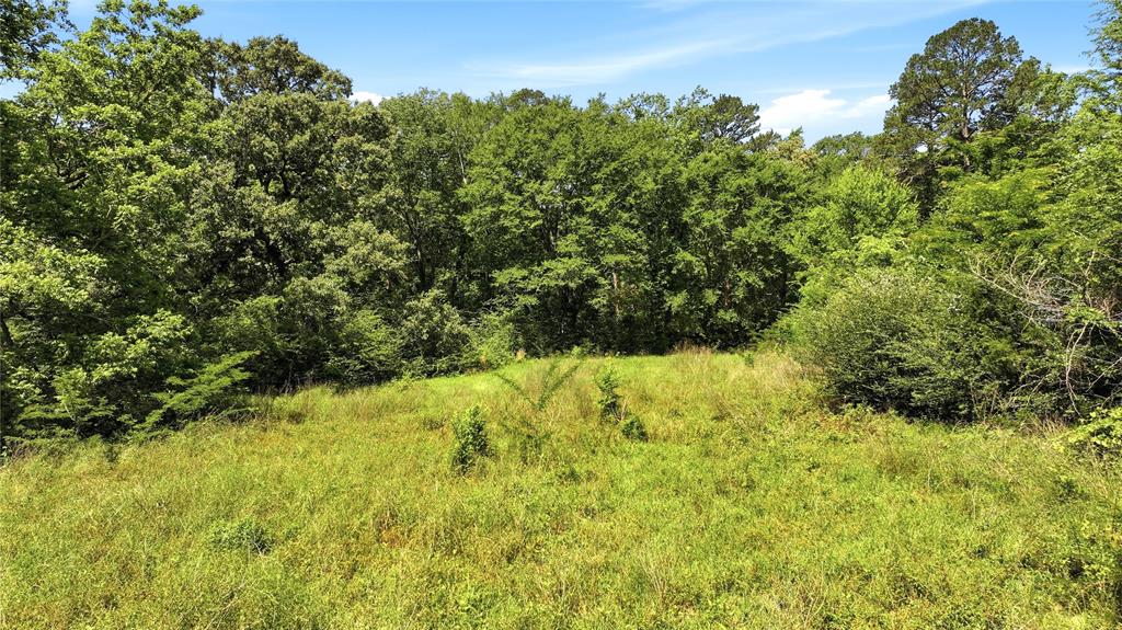 4091 County Road 2206 Rusk, TX 75785 - Photo 4 of 12 a view of a yard of a house