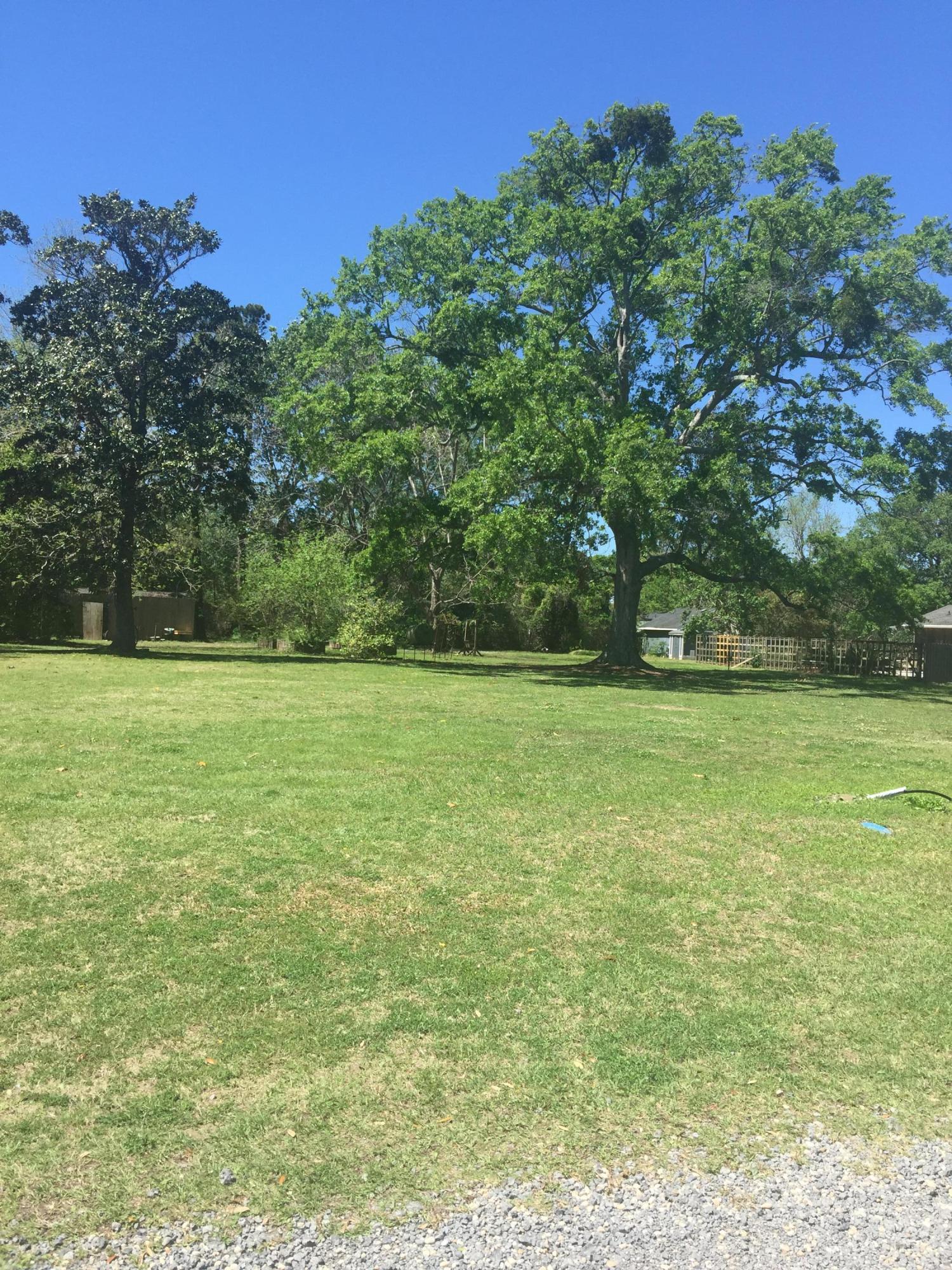 607 Thrasher Thicket Road Charleston, SC 29412 - Photo 3 of 5 IMG_5673