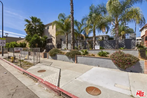 a view of outdoor space with palm trees