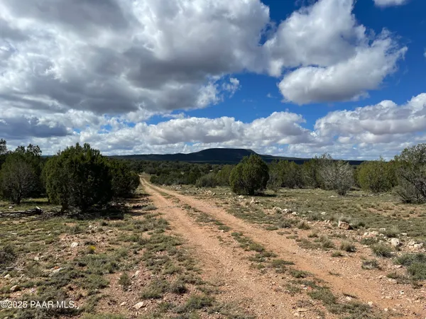 a view of a dry yard with wooden fence