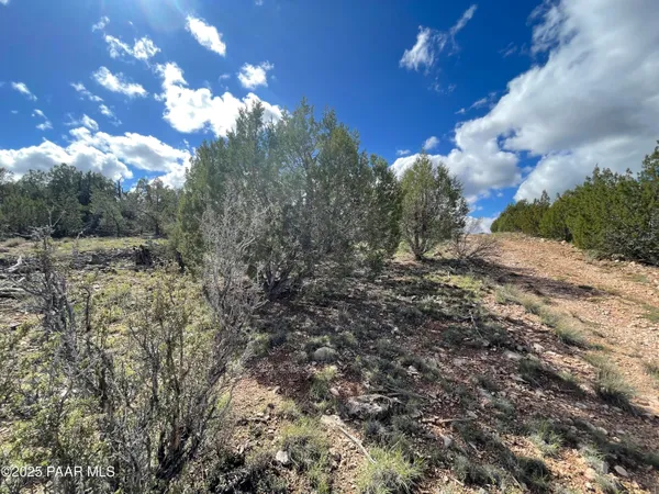 a view of a big yard with flower plants and wooden fence