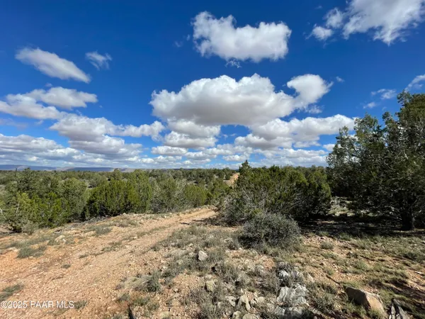 a view of a dry yard with wooden fence