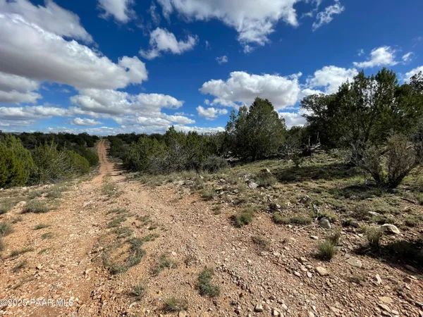 a view of a tree in a yard