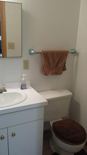 3951 Carson Road Roanoke, VA 24012 - Photo 13 of 25 20141008_135256