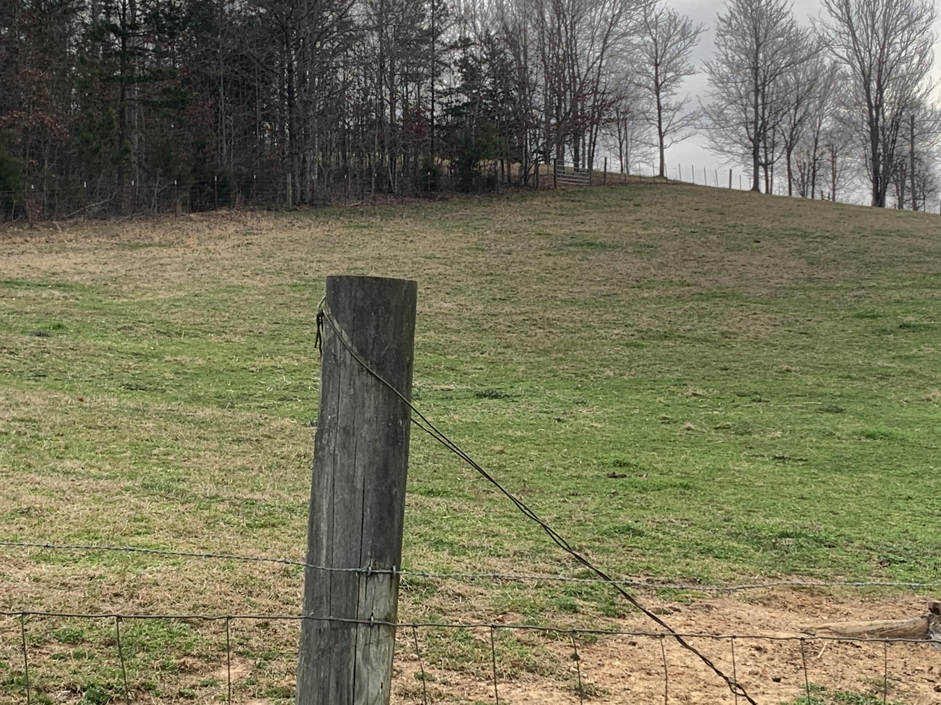 284 Garren Road Madisonville, TN 37354 - Photo 6 of 40 D075D491-4258-4063-8992-837DC83EDB49