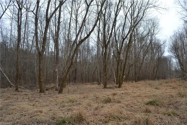 $320,000 | 17.2-acres Davie Lane, Madison, NC 27025