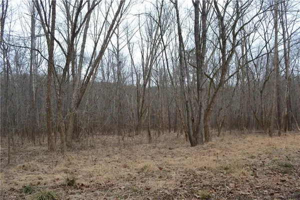 $320,000 | 17.2-acres Davie Lane, Madison, NC 27025