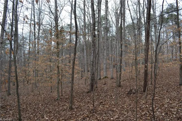 $320,000 | 17.2-acres Davie Lane, Madison, NC 27025
