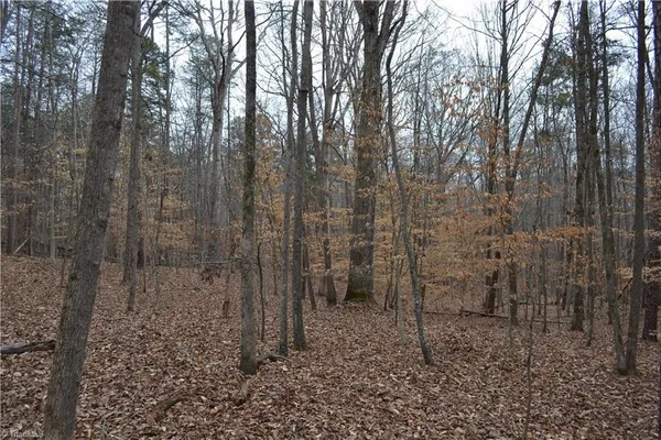 $320,000 | 17.2-acres Davie Lane, Madison, NC 27025