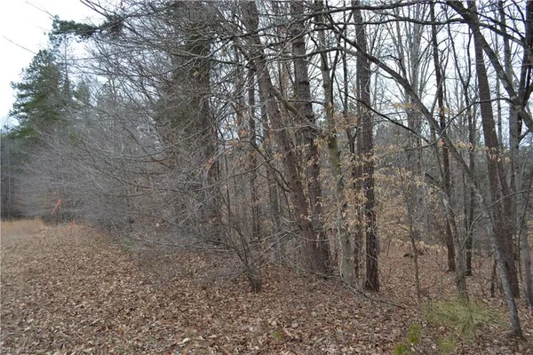 $320,000 | 17.2-acres Davie Lane, Madison, NC 27025