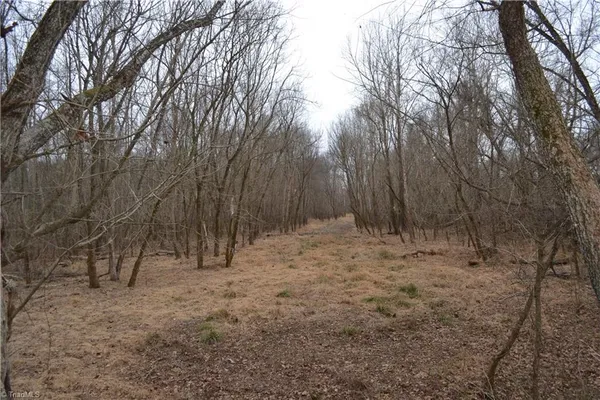 $320,000 | 17.2-acres Davie Lane, Madison, NC 27025