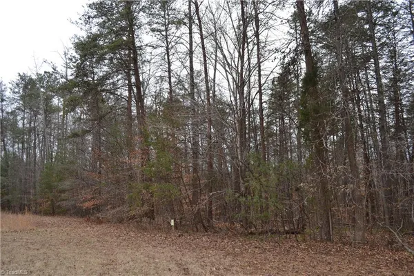 $320,000 | 17.2-acres Davie Lane, Madison, NC 27025