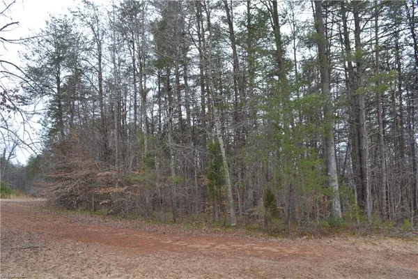 $320,000 | 17.2-acres Davie Lane, Madison, NC 27025