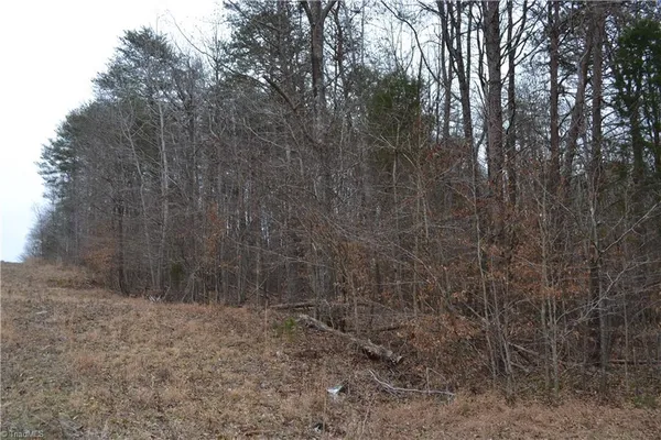 $320,000 | 17.2-acres Davie Lane, Madison, NC 27025