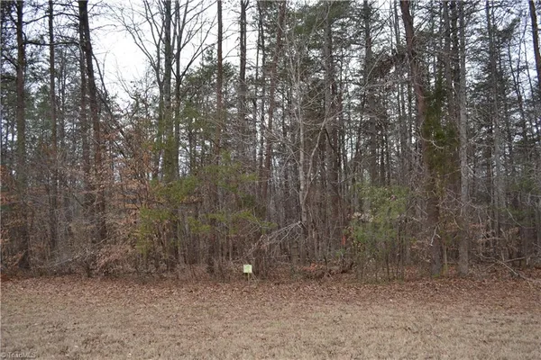 $320,000 | 17.2-acres Davie Lane, Madison, NC 27025