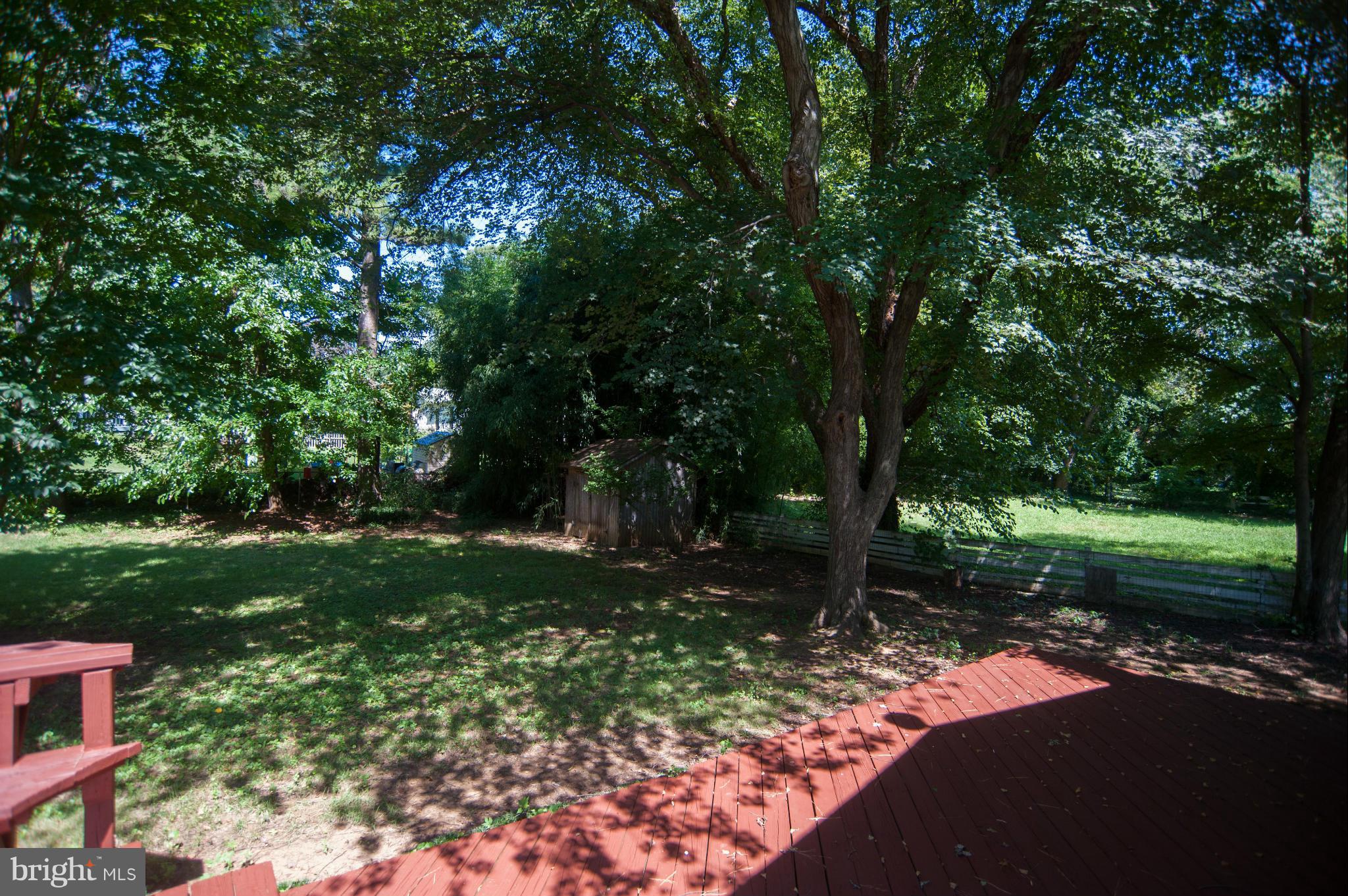 16 Goodrich Road Annapolis, MD 21401 - Photo 21 of 27 a view of a yard with a tree