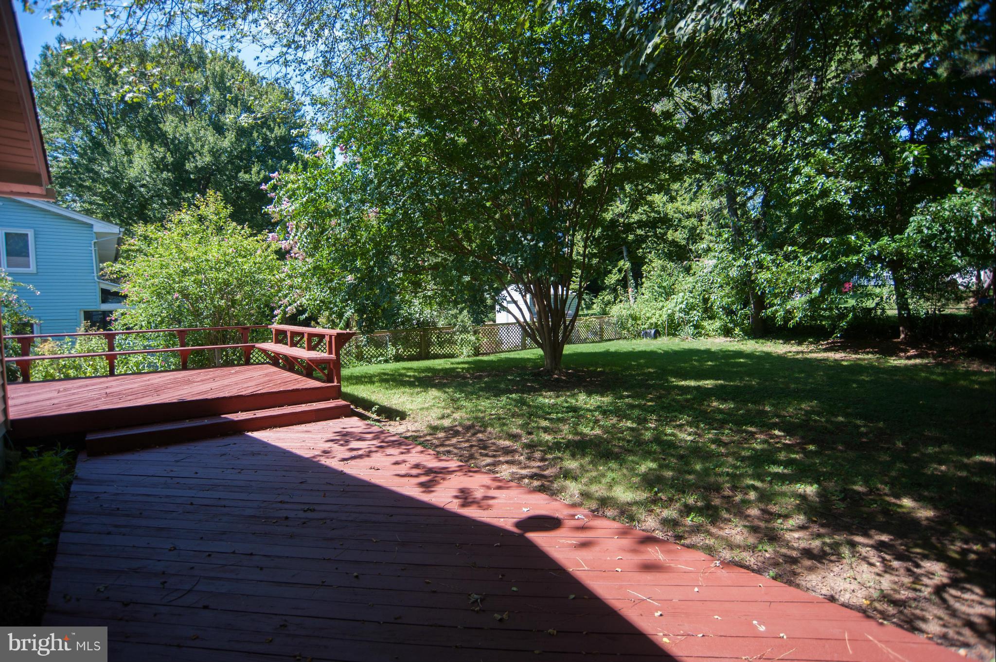 16 Goodrich Road Annapolis, MD 21401 - Photo 22 of 27 a view of a park with large trees