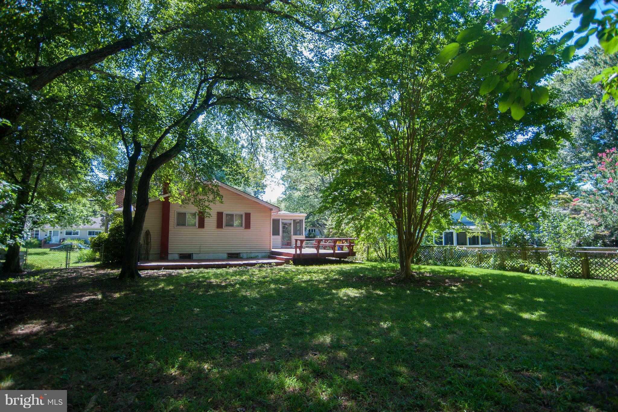 16 Goodrich Road Annapolis, MD 21401 - Photo 24 of 27 a backyard of a house with plants and large tree