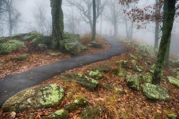 $2,000 | 3575 Creek Mill Drive Northwest, Kennesaw, GA 30152