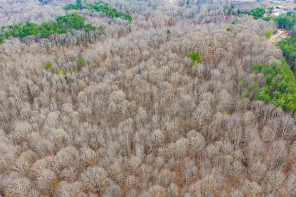 a view of a yard in a field