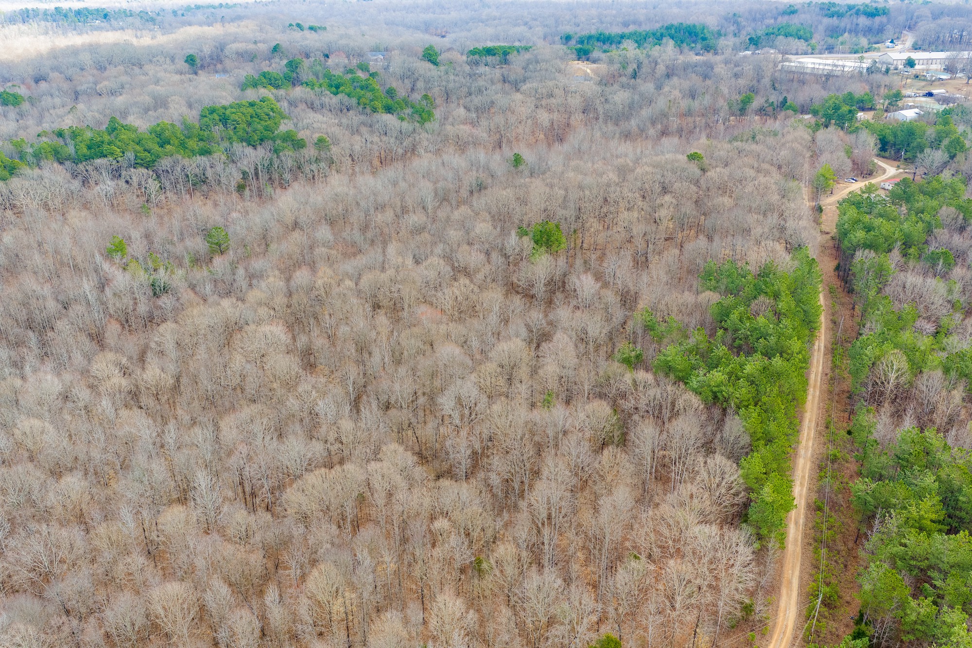 0 Kehrer Lane Huntingdon, TN 38344 - Photo 13 of 23