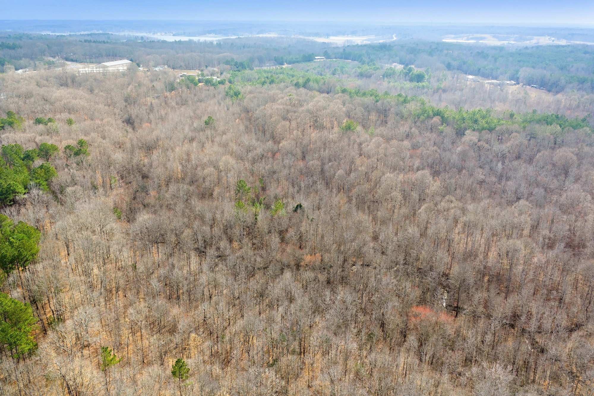 0 Kehrer Lane Huntingdon, TN 38344 - Photo 15 of 23 a view of a yard in a field