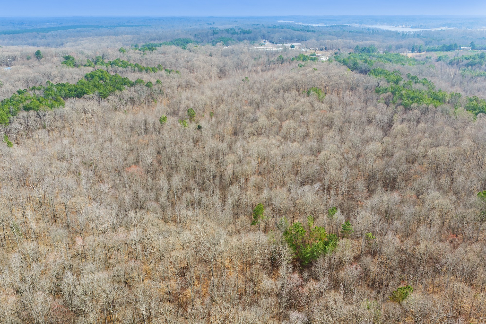 0 Kehrer Lane Huntingdon, TN 38344 - Photo 16 of 23