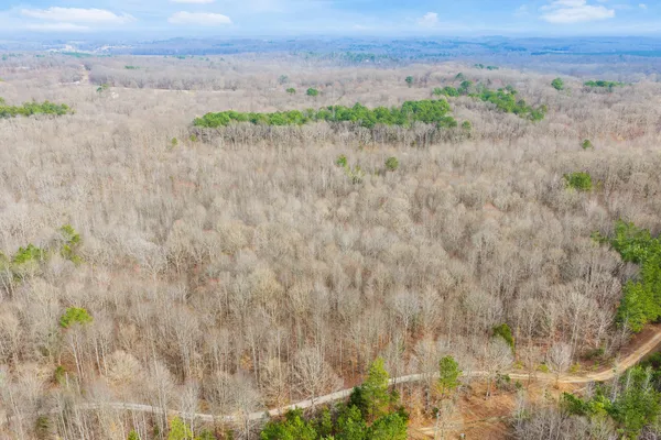 a view of a backyard of the house