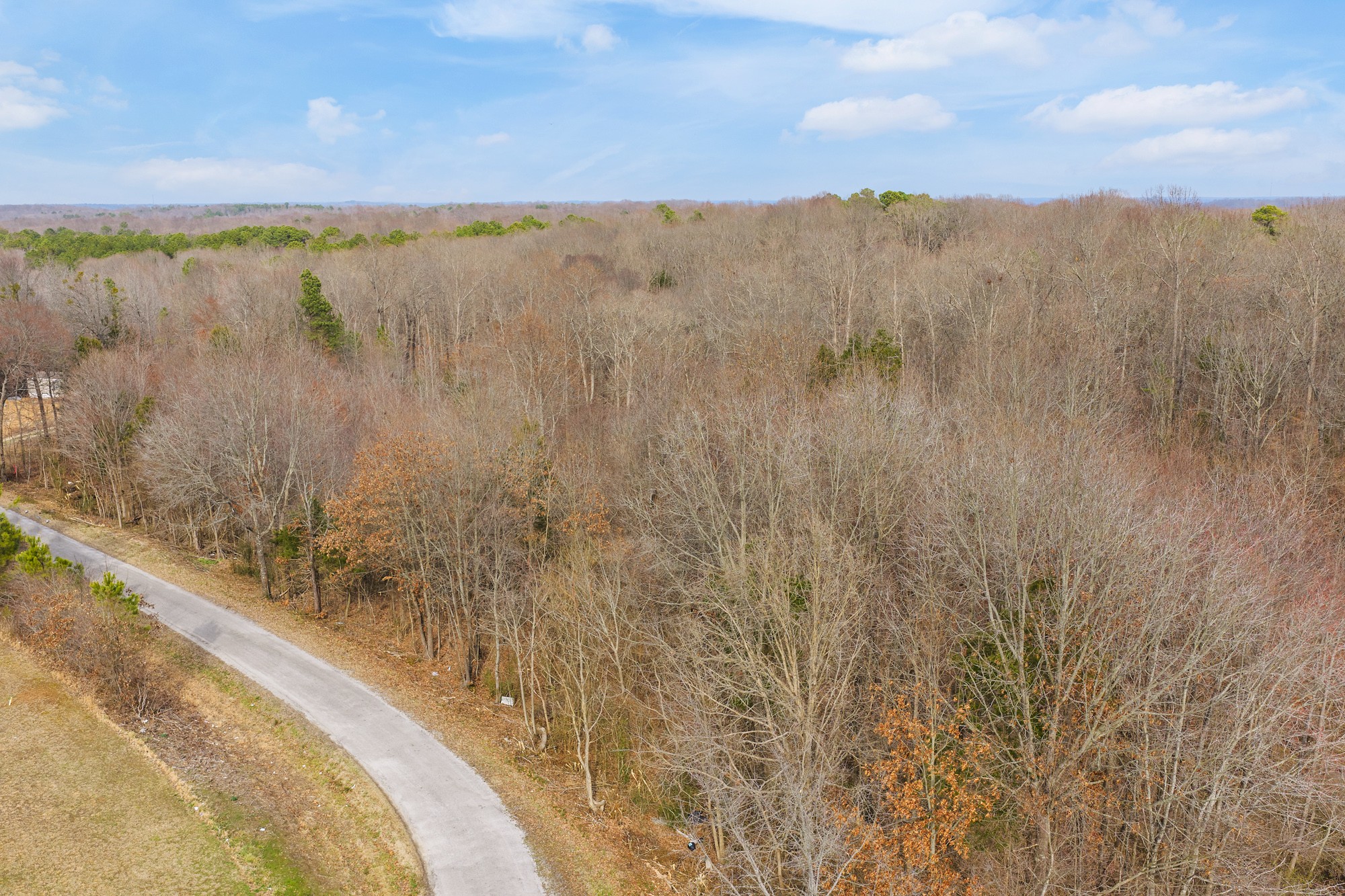 0 Kehrer Lane Huntingdon, TN 38344 - Photo 20 of 23 a view of lake and mountain