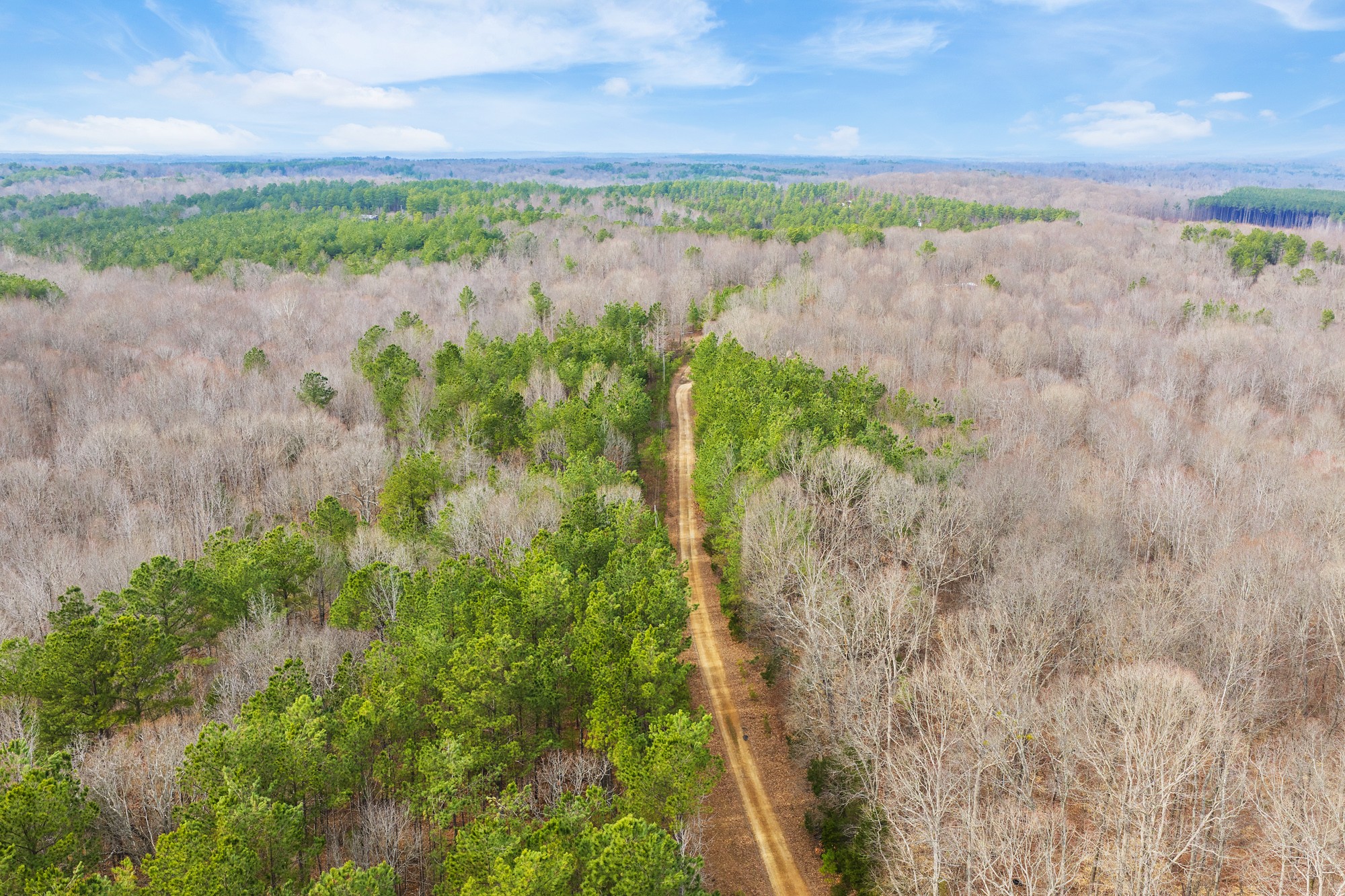 0 Kehrer Lane Huntingdon, TN 38344 - Photo 4 of 23