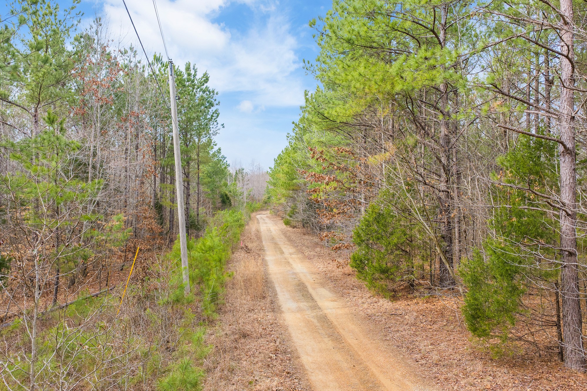 0 Kehrer Lane Huntingdon, TN 38344 - Photo 5 of 23 a view of a pathway both side of yard