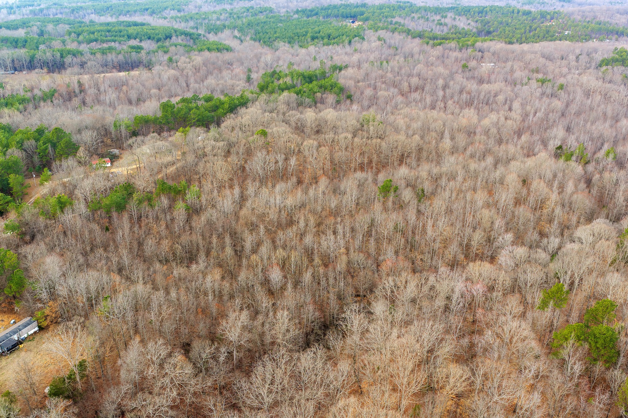 0 Kehrer Lane Huntingdon, TN 38344 - Photo 7 of 23 a view of a dry yard with wooden fence