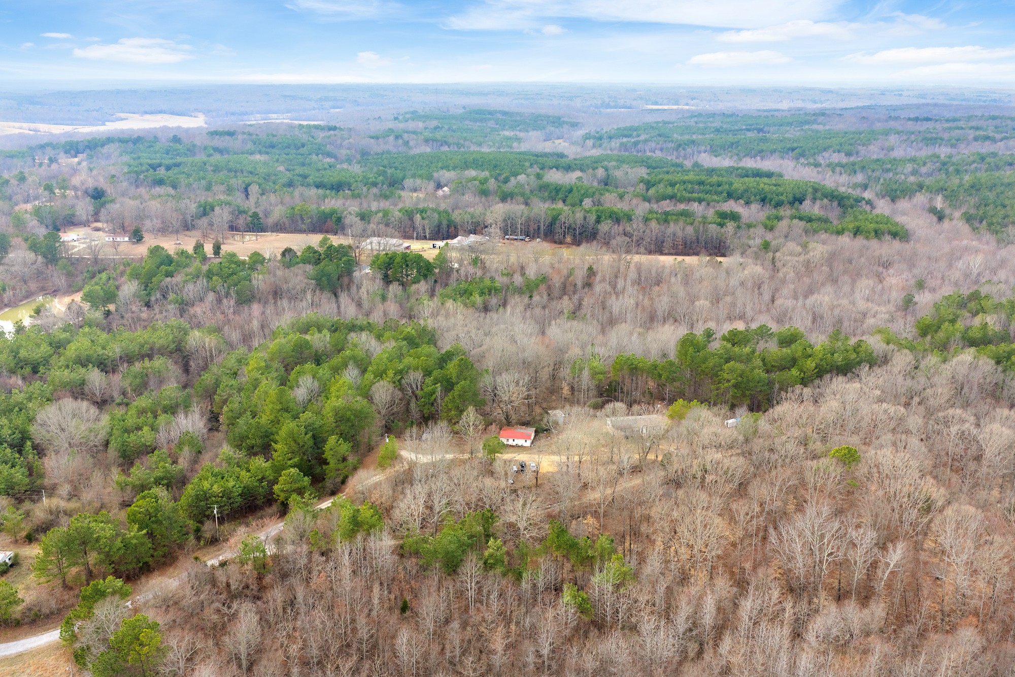 0 Kehrer Lane Huntingdon, TN 38344 - Photo 8 of 23 a view of a green field with lots of bushes