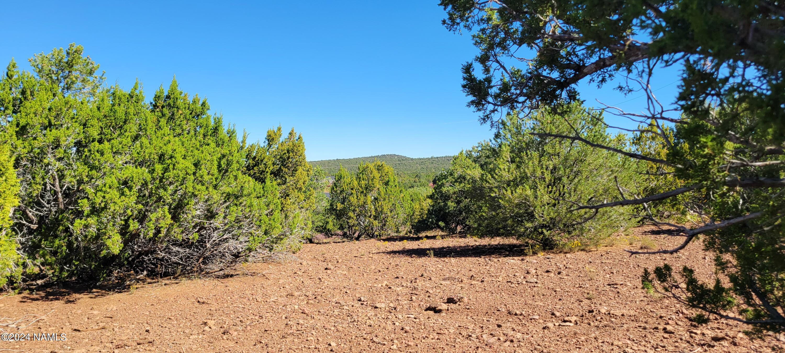 2432 East Fir Road Williams, AZ 86046 - Photo 11 of 14 a view of a yard with a tree
