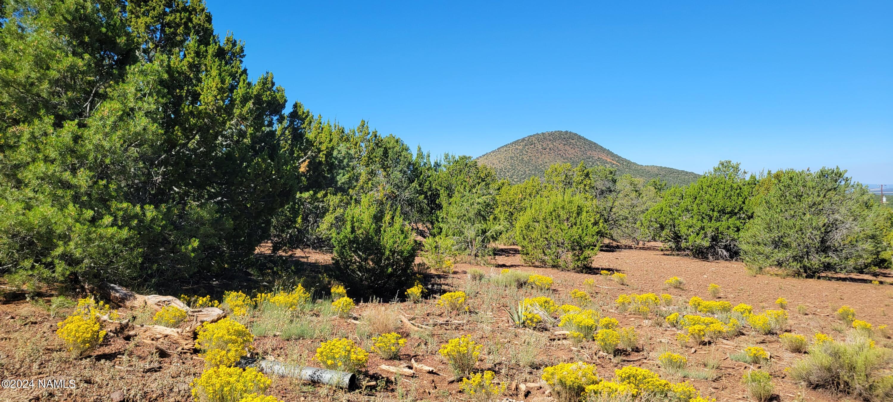 2432 East Fir Road Williams, AZ 86046 - Photo 14 of 14 a view of a yard with snow
