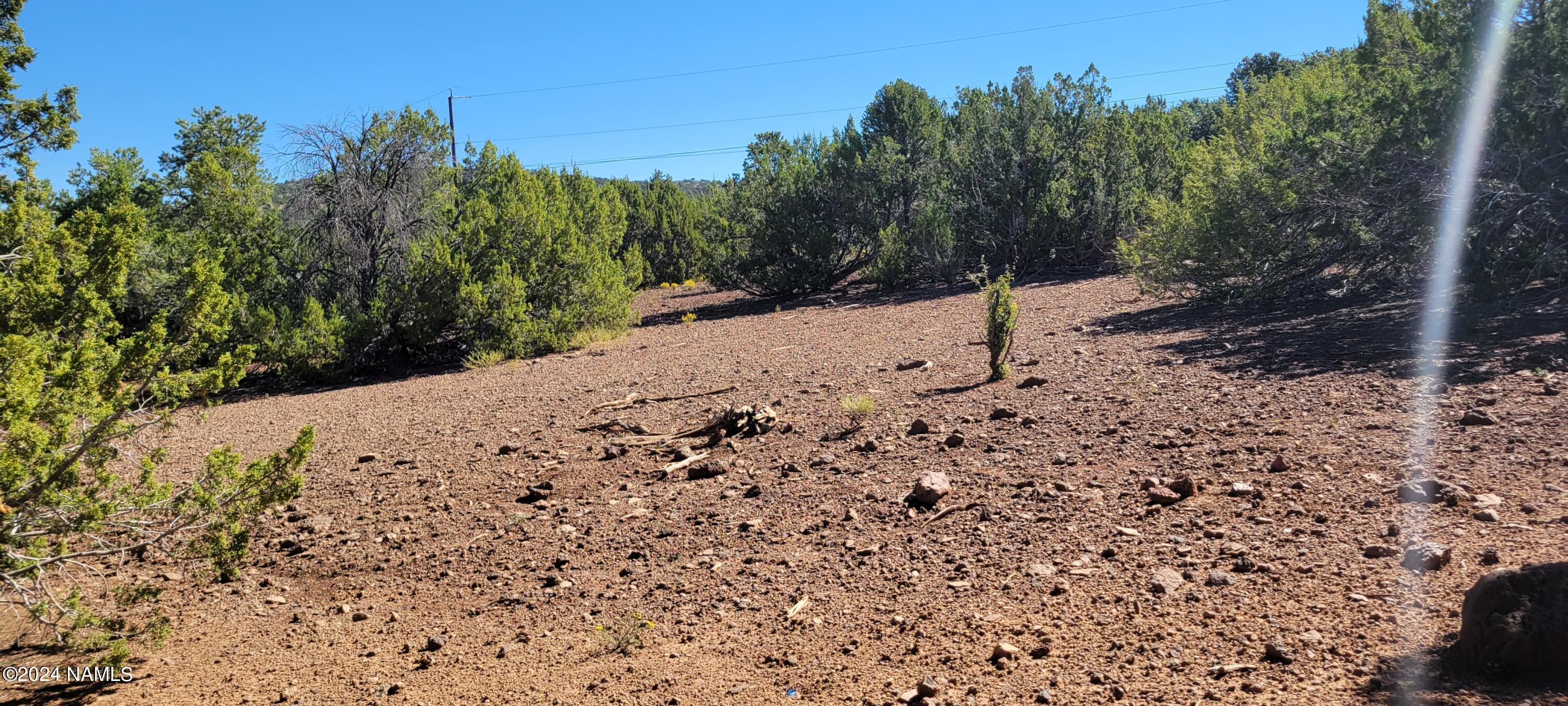 2432 East Fir Road Williams, AZ 86046 - Photo 5 of 14 a view of a covered with snow in the background