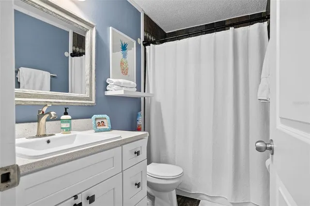 a bathroom with a sink a toilet and shower curtain