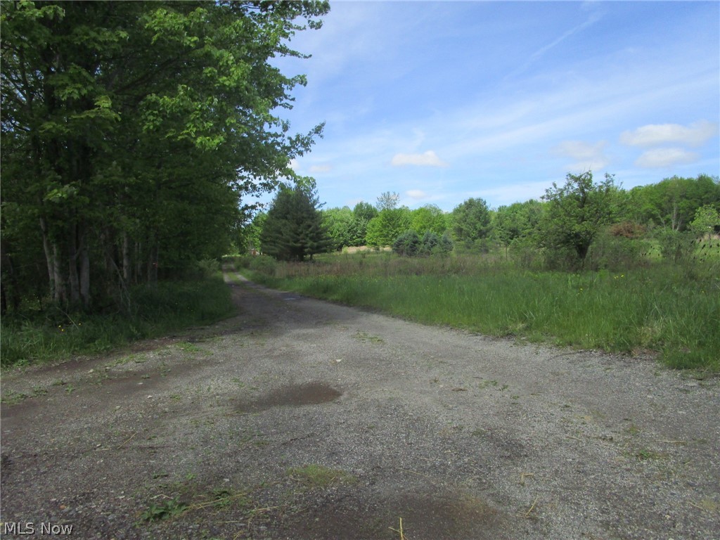 Vl Doyle Road Jefferson, OH 44047 - Photo 39 of 42
