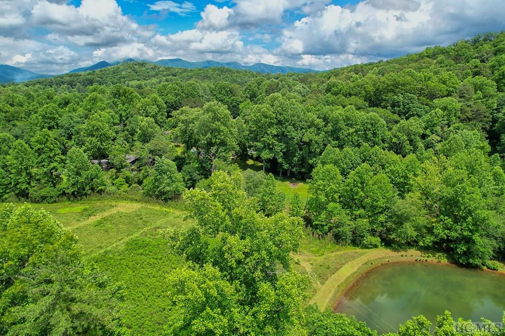1222 Shope Road Otto, NC 28763 - Photo 16 of 57 Gallery Image 16