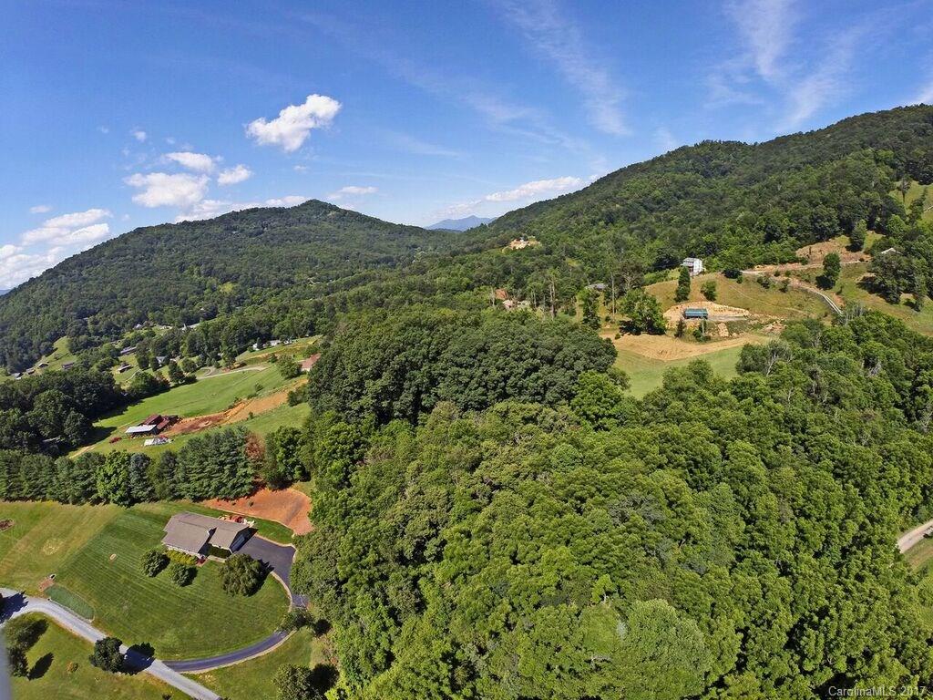 0 Reed Cove Road Waynesville, NC 28786 - Photo 3 of 4 a view of a lush green forest with houses in the back