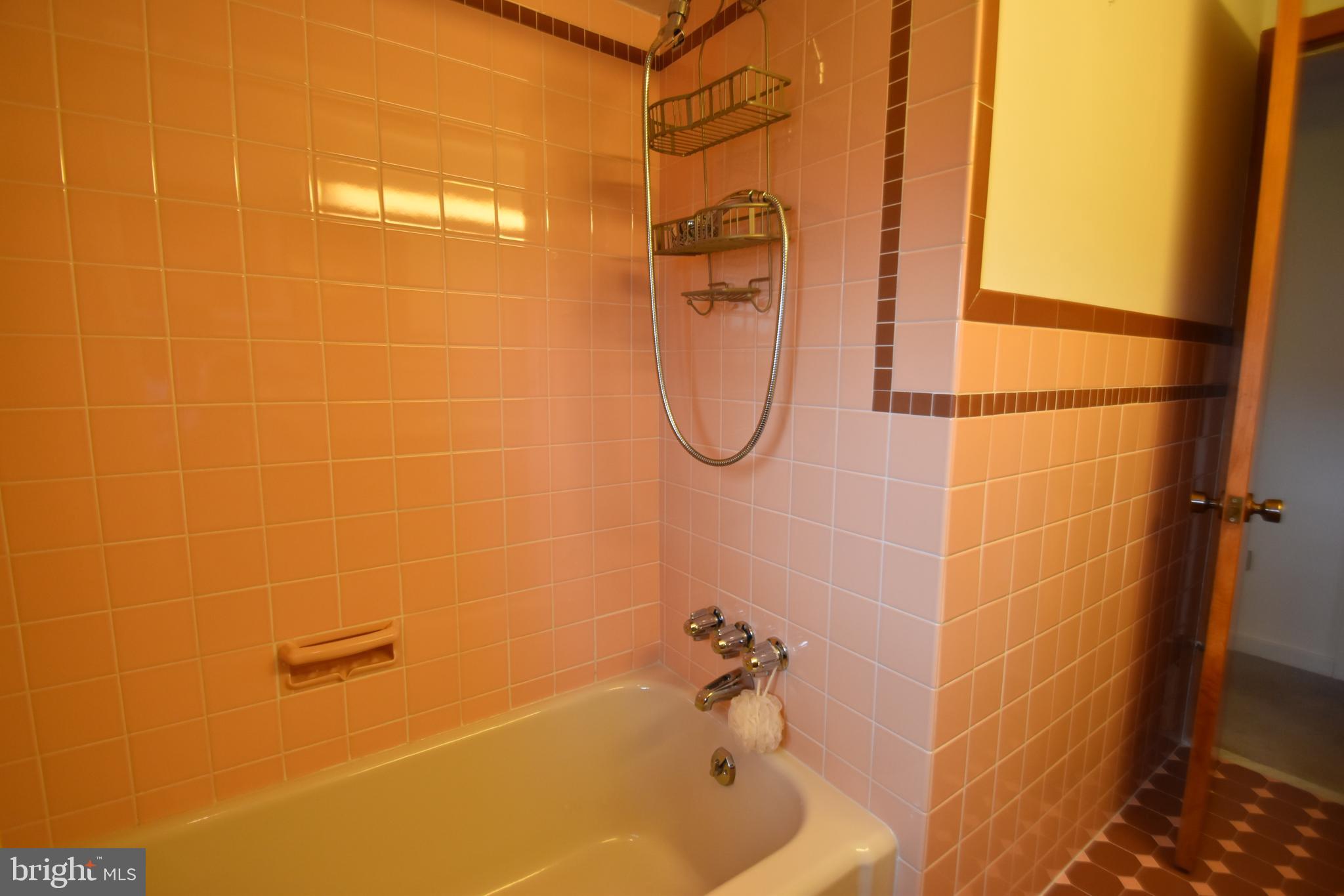 776 East Pumping Station Road Quakertown, PA 18951 - Photo 28 of 61 tub shower